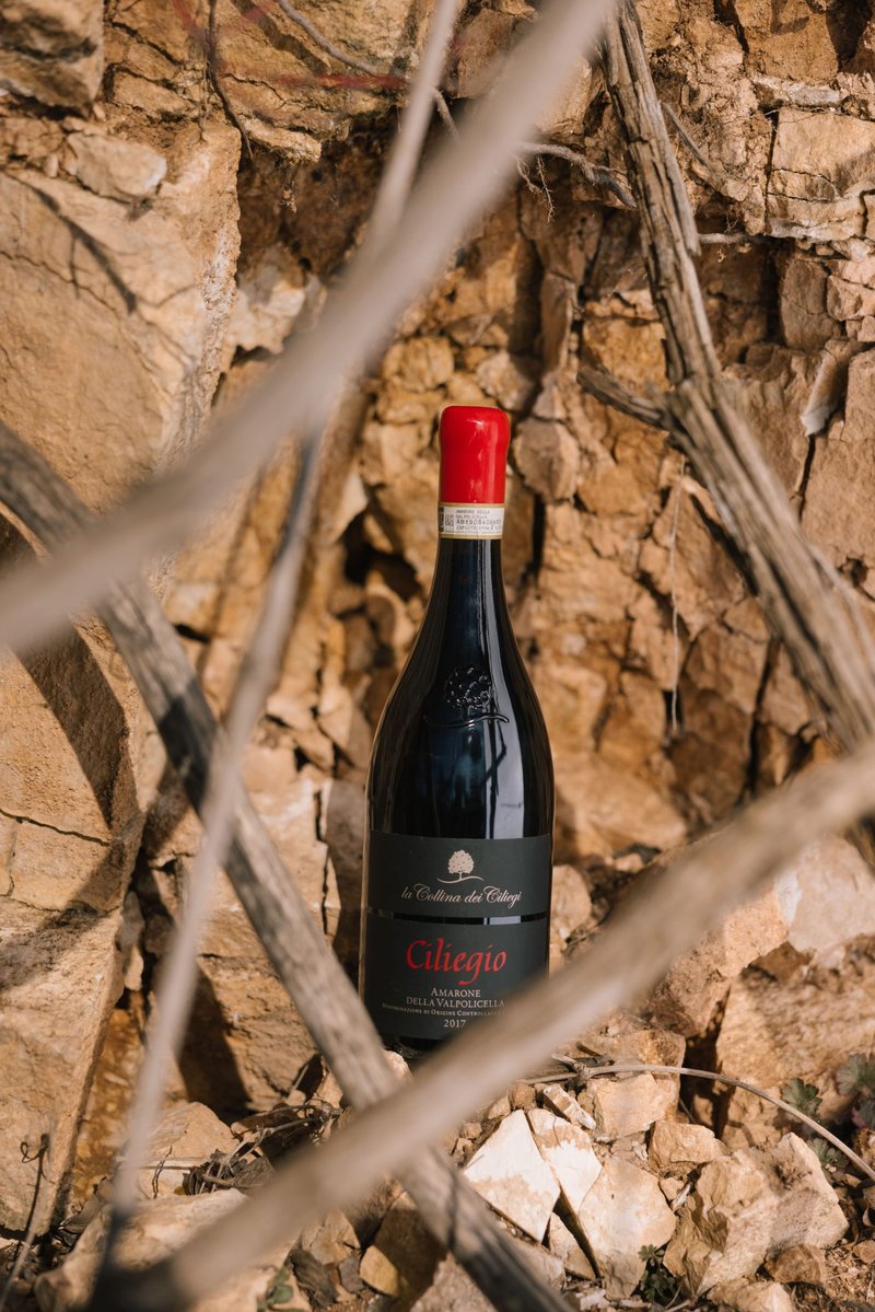 Ciliegio Amarone della Valpolicella DOCG