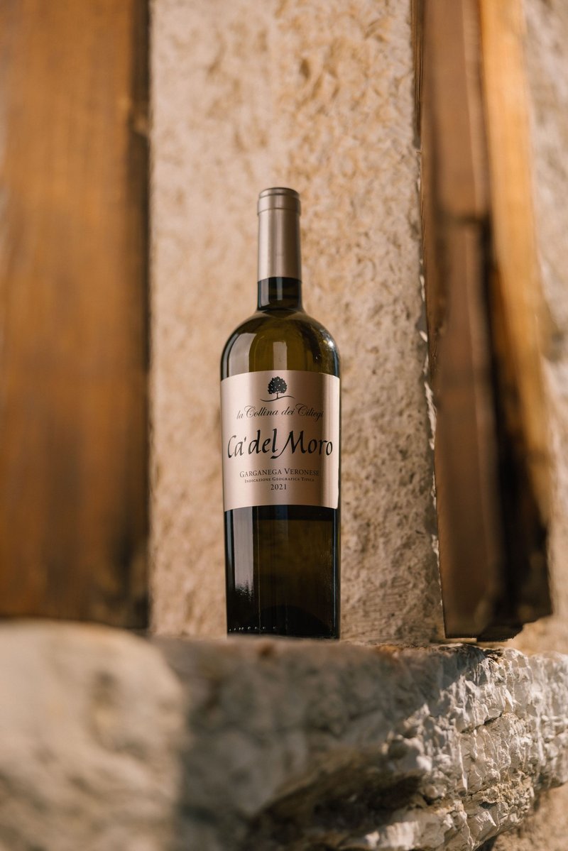 Cà del Moro Garganega Veronese IGT