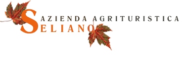 AZIENDA AGRIC. BELLELLI ETTORE