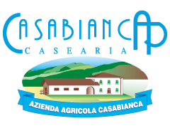 CASEARIA CASABIANCA srl