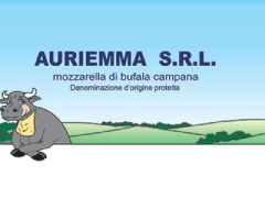 Caseificio AURIEMMA SRL