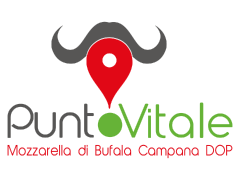Caseificio PUNTO VITALE srl
