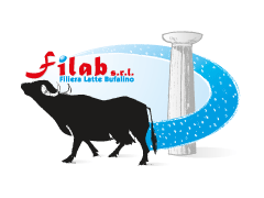 FILAB SRL