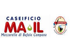 Industria Casearia MAIL srl