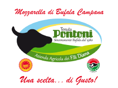 TENUTA PONTONI dei F.lli Diana Soc. Agr. Srl