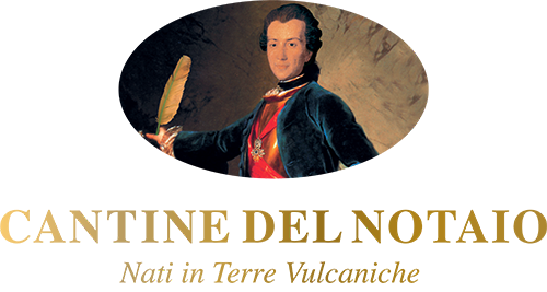 L'azienda