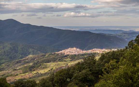 Accettura