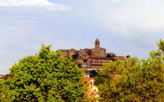 Carassai