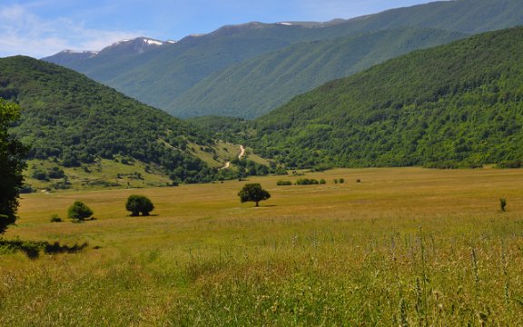 Collelongo