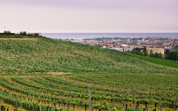 Montepagano (frazione di Roseto degli Abruzzi)