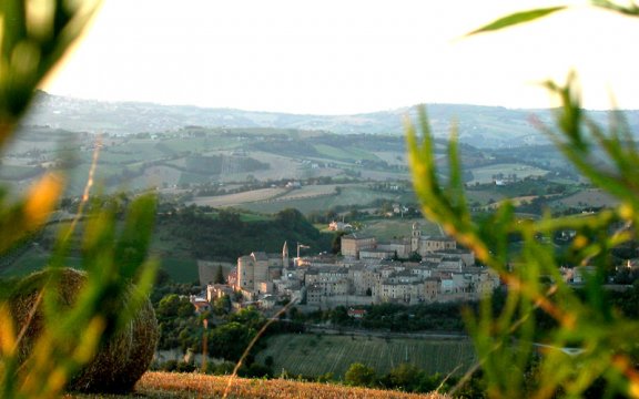 Montottone