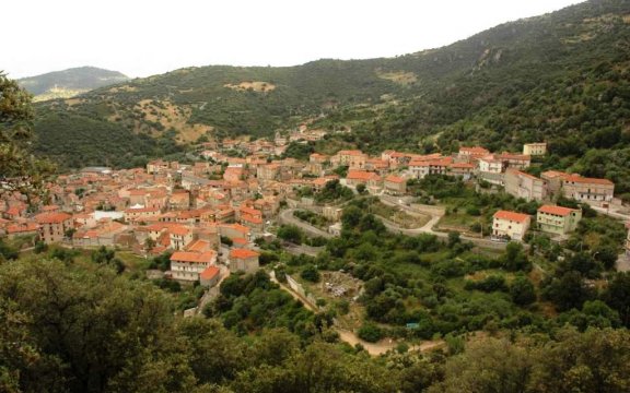 Olzai