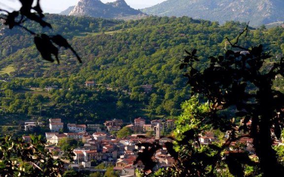 Ovodda