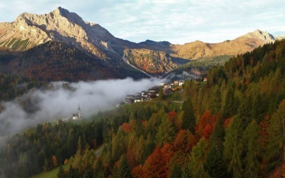 Sauris
