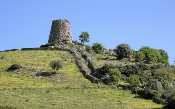Silanus