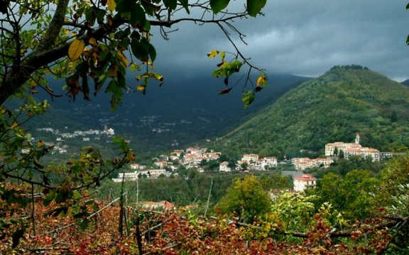 Tramonti
