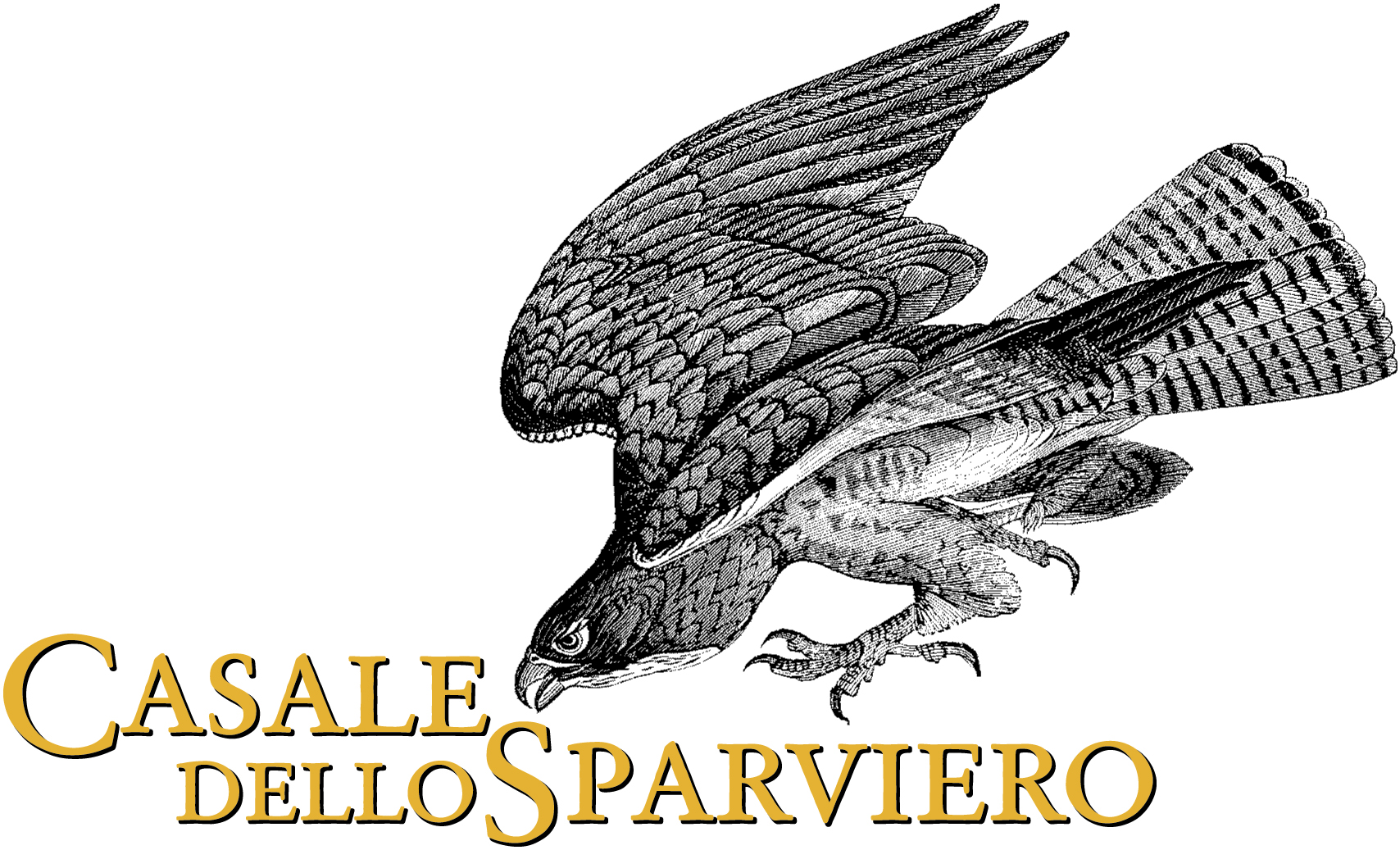 Casale dello Sparviero