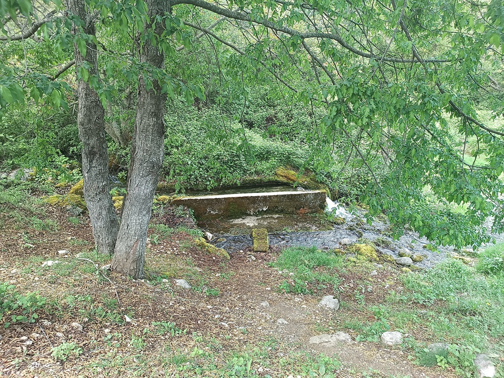 Abbeveratoio - Briglia torrente il Rio