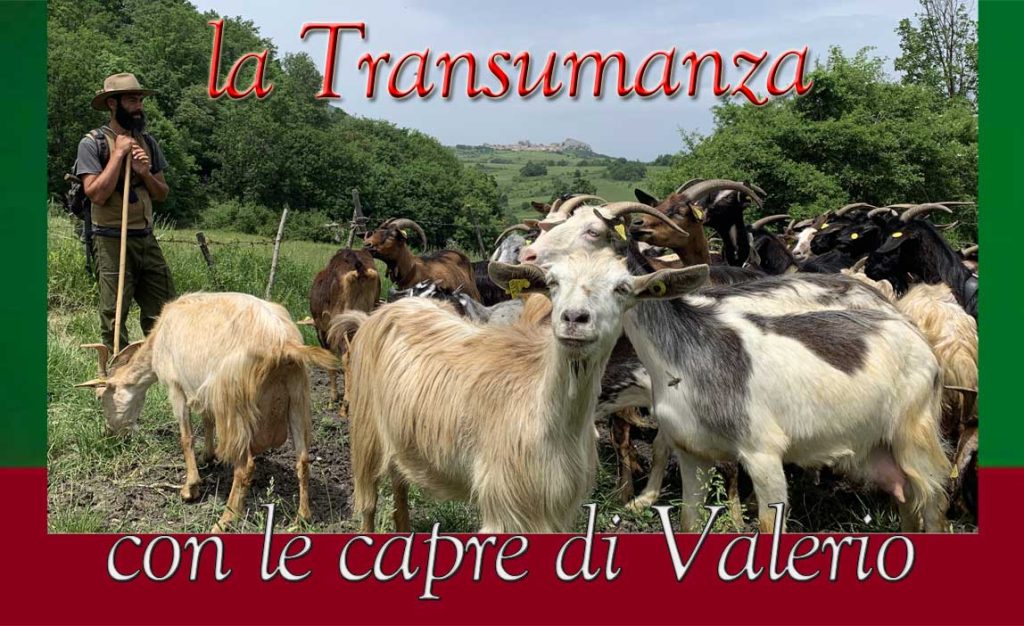 A.P.S. La Terra