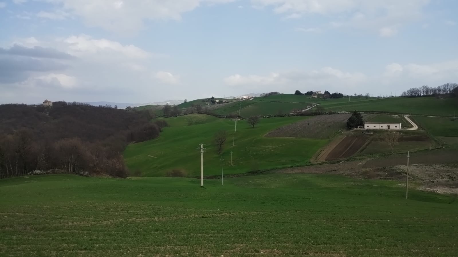 Azienda Agricola Bio -Terra Madre