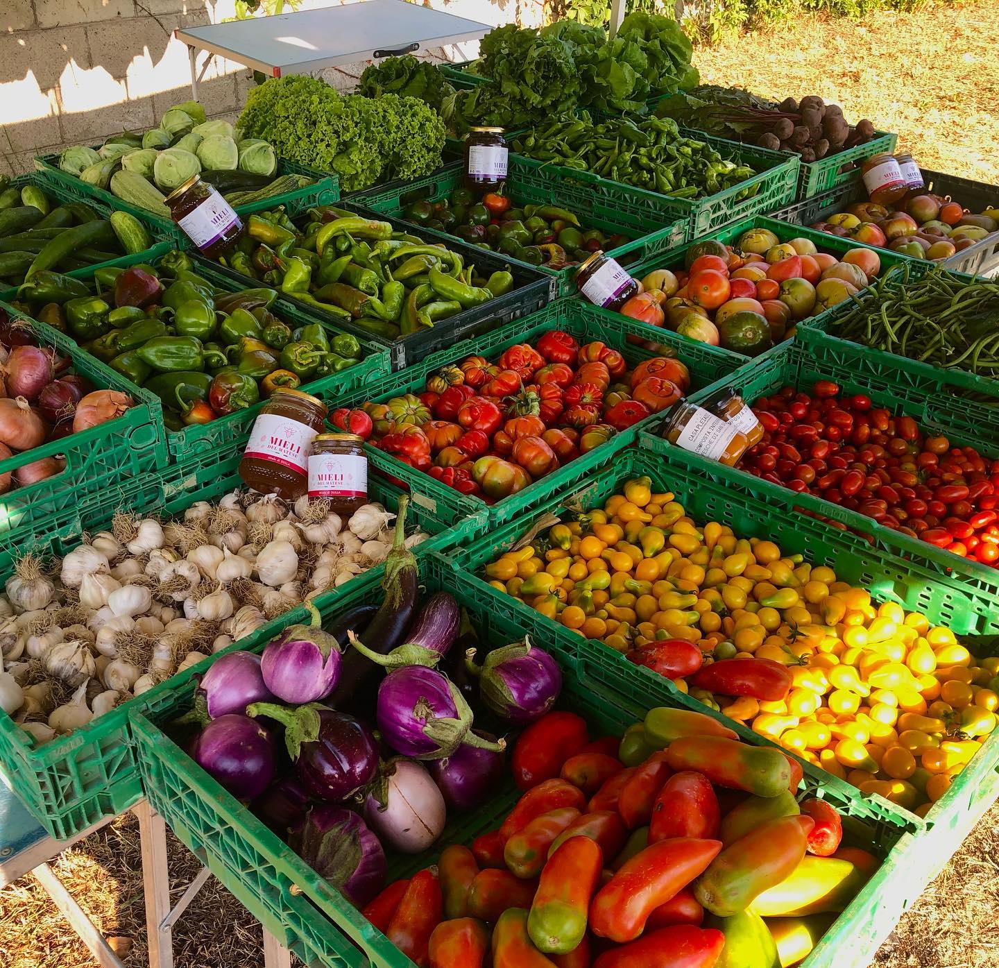 Azienda Agricola - Fattoria Griot