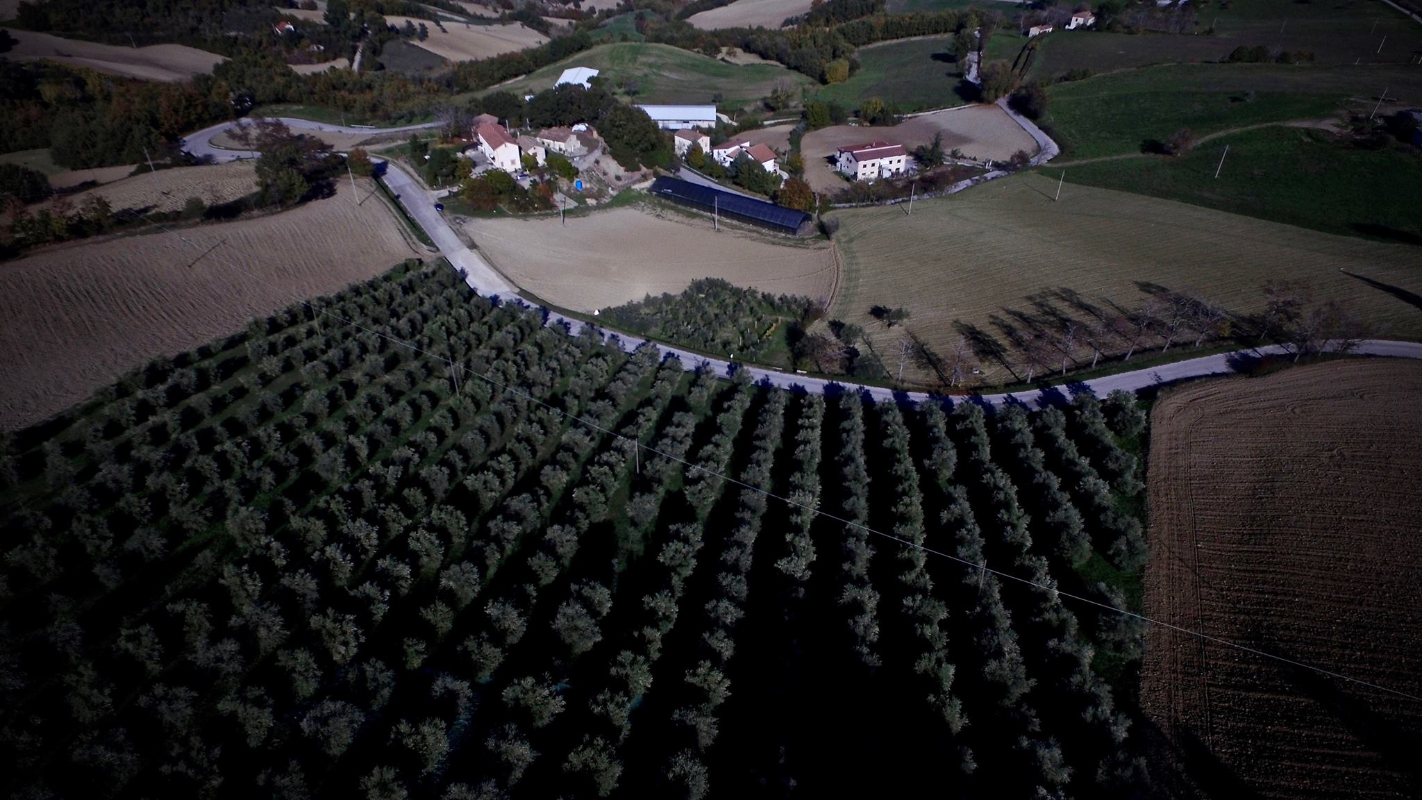 Azienda agricola idroponica - Tenute Fierro