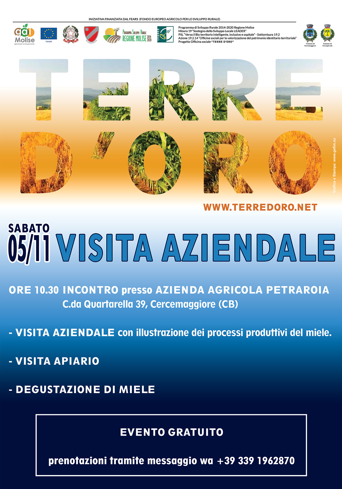 Azione 19.2.14 - Terre D'Oro