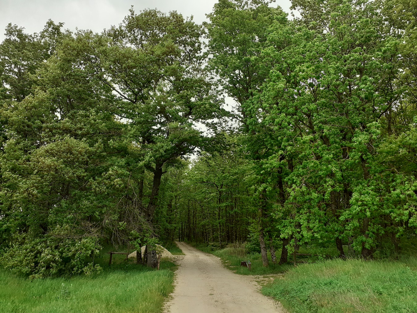 Bosco "La Difesa" - Aree Protette - Rete Natura 2000