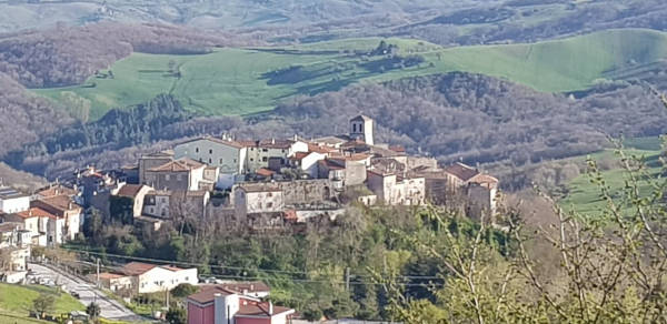 Campolieto