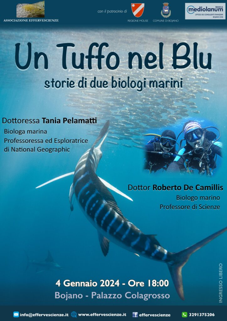 Effervescienze Ovd - Associazione Culturale Pro Loco