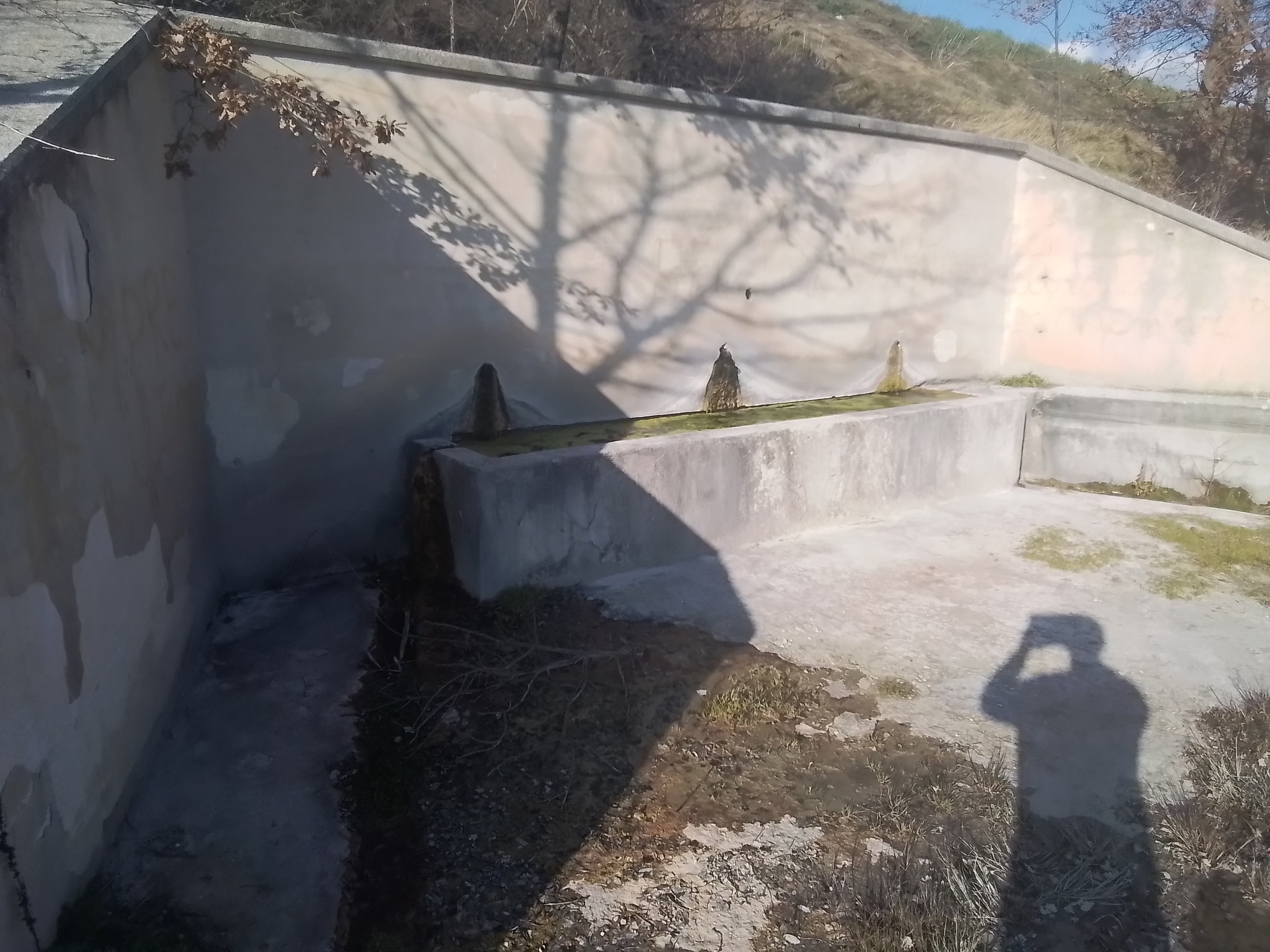 Fontana Leone