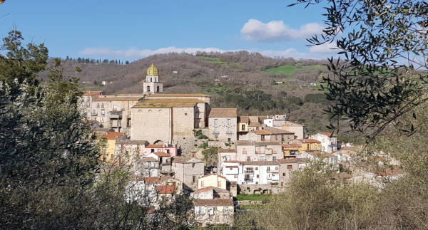 Lucito