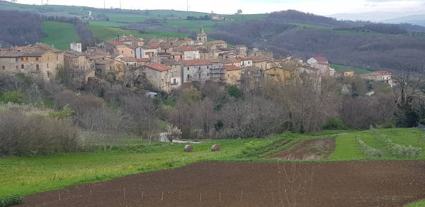 Matrice