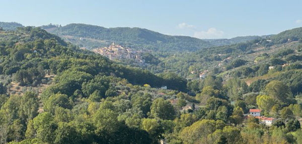 Mirabello Sannitico