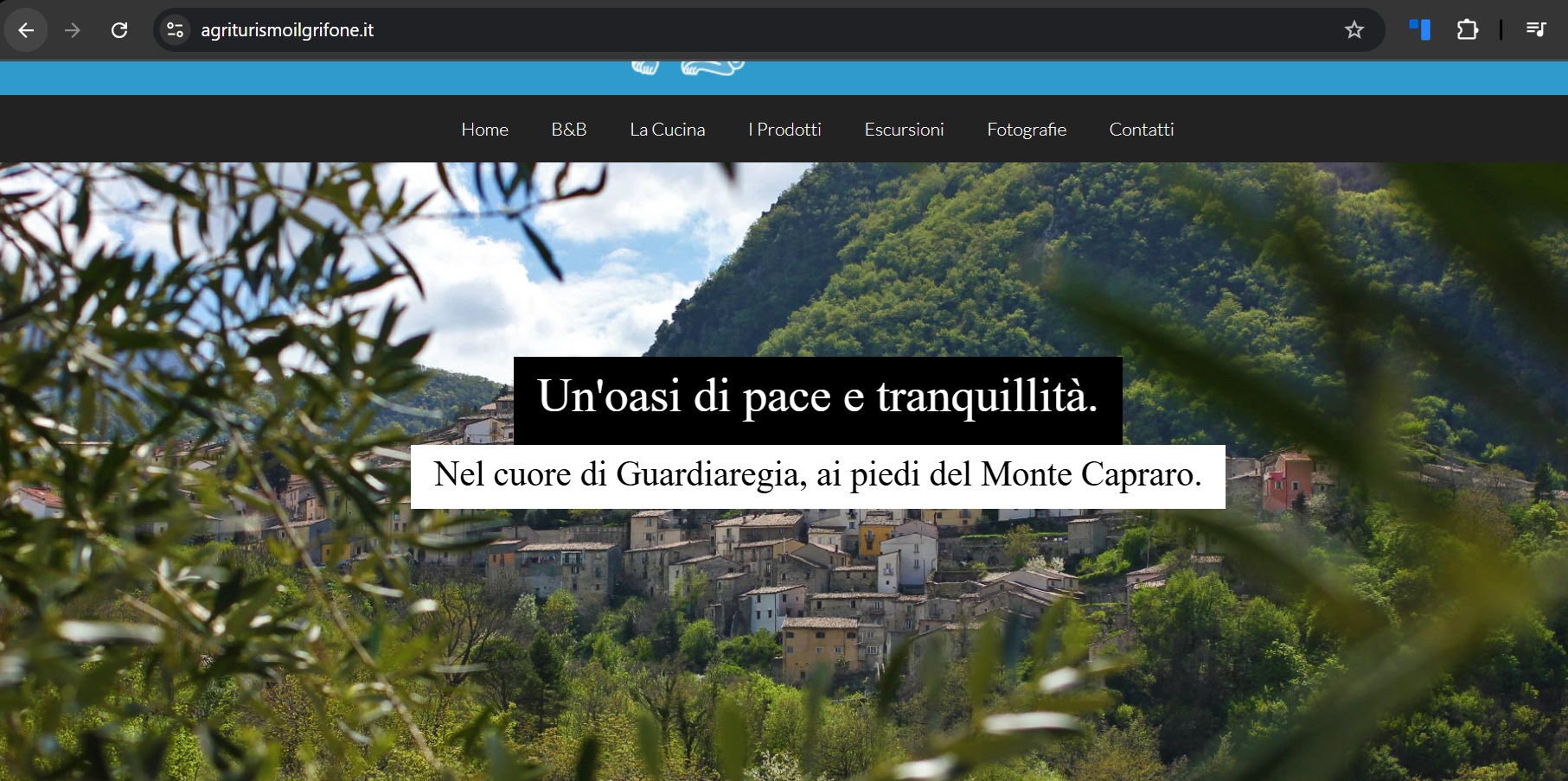 Ristorante - IL GRIFONE