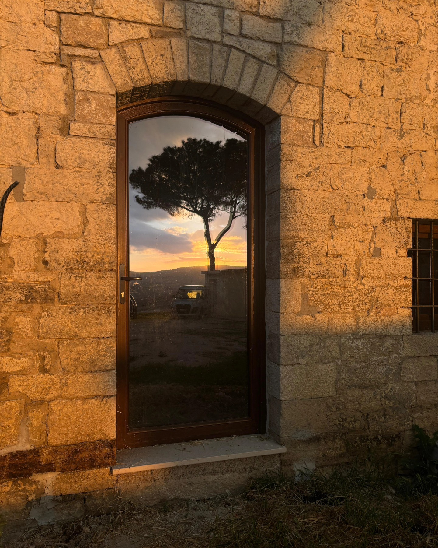 Società Agricola Multifunzionale Biologica "Alba"