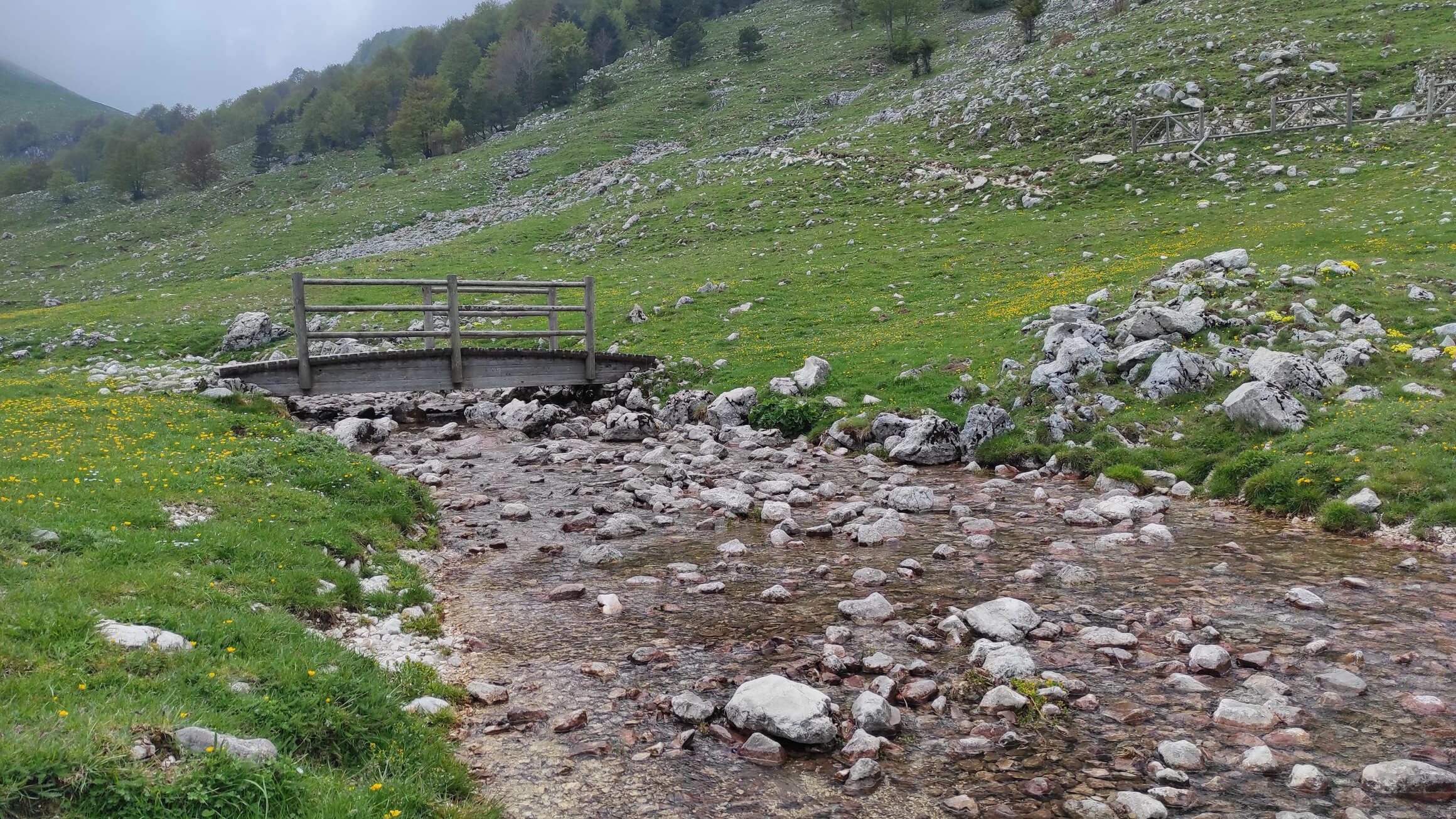 Sorgente Capo D'Acqua