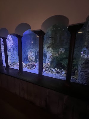 Acquario di Napoli