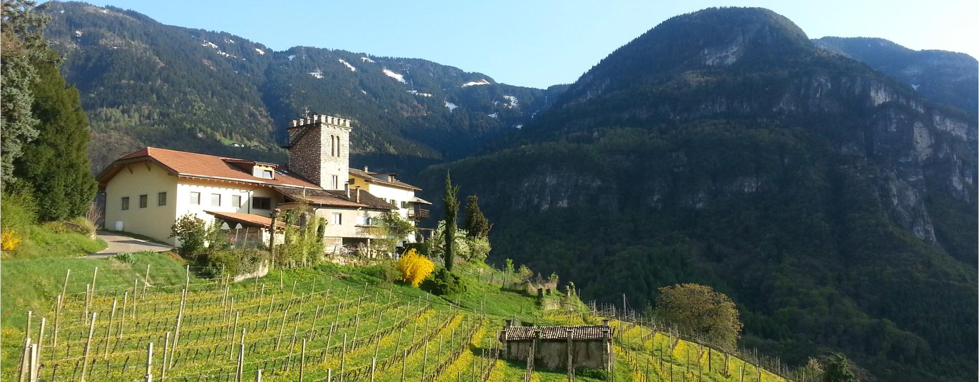 Azienda Agricola Maso Thaler