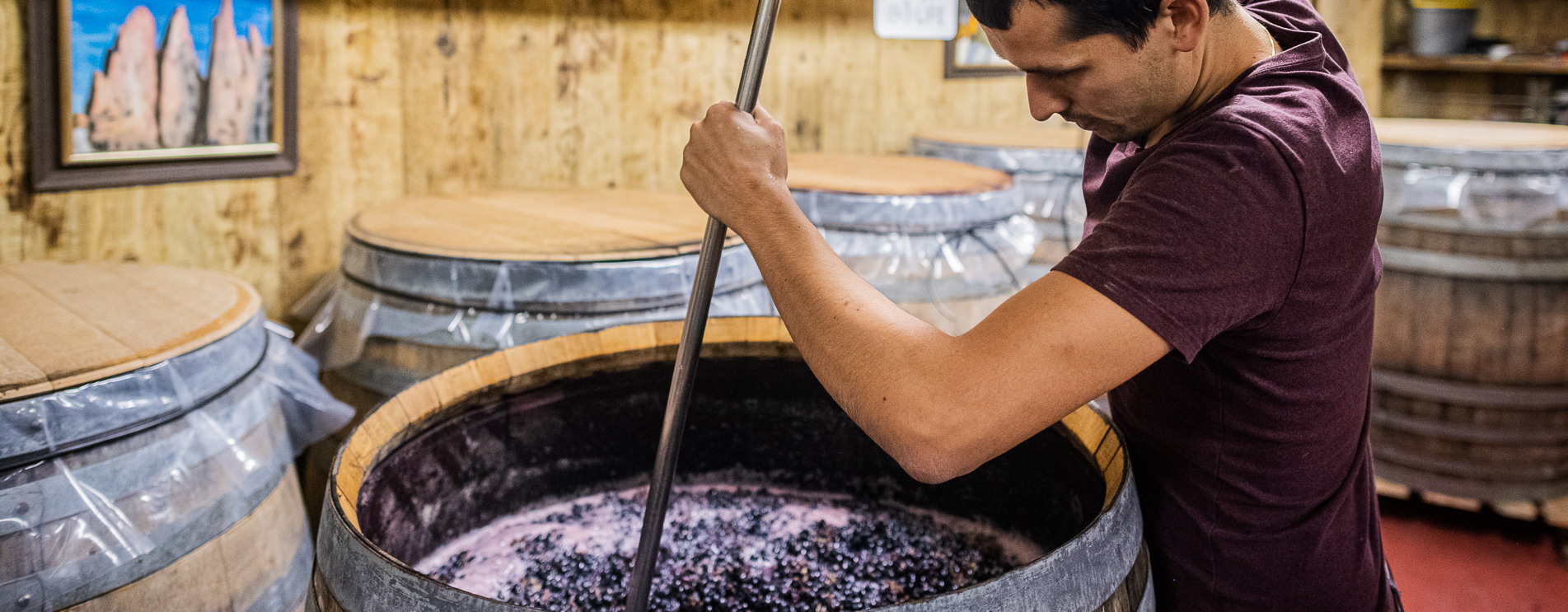 Cantina Heiner.