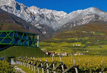 Cantina Tramin