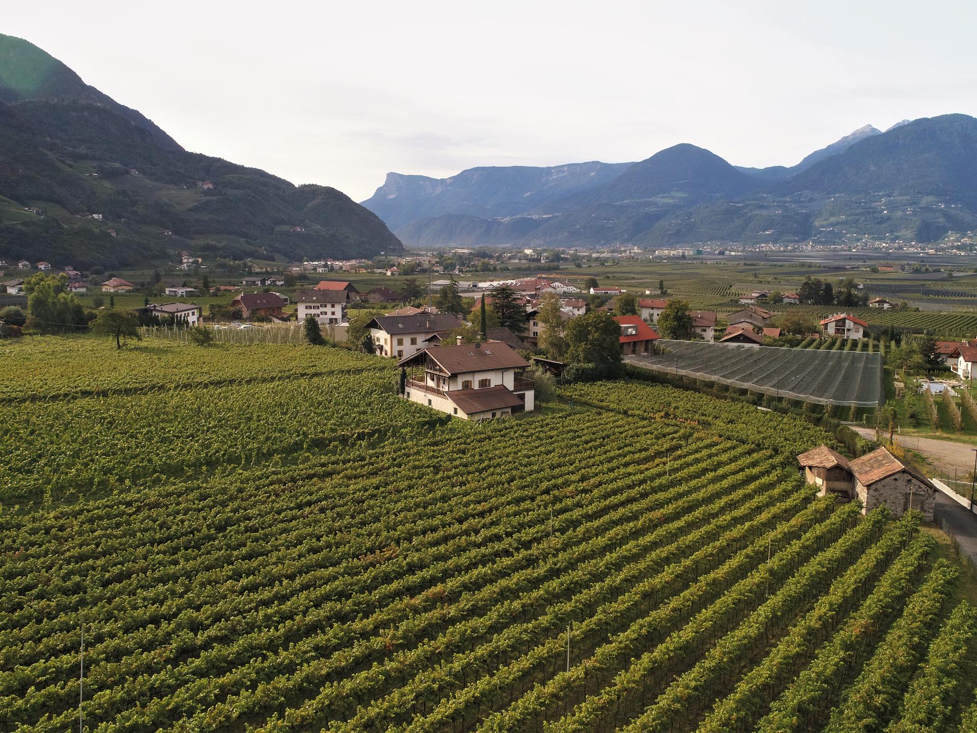 Finkhof Merano