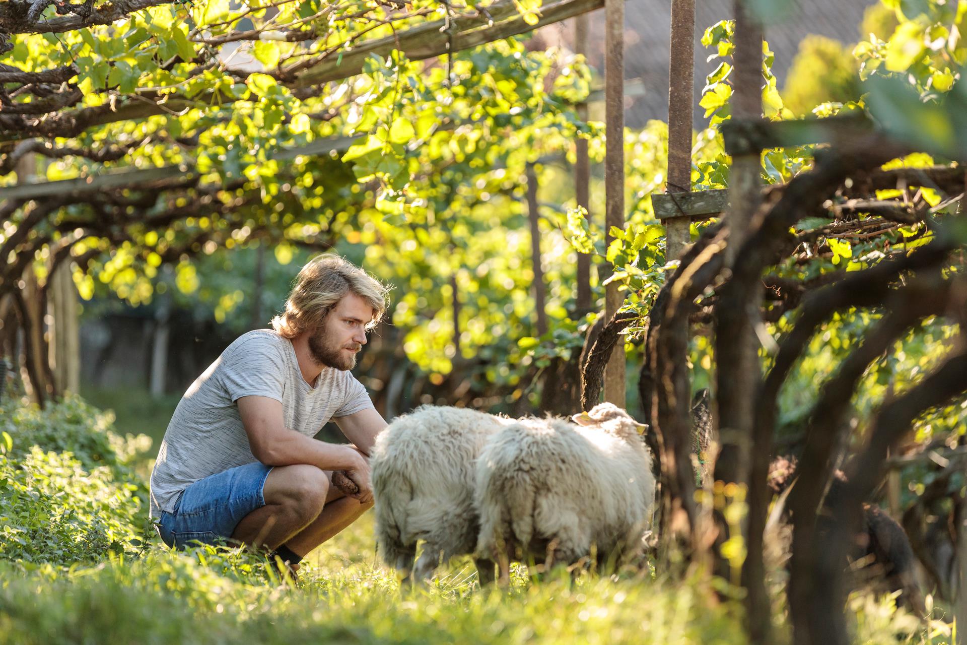 Tenuta Hochklaus