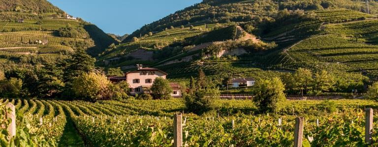 Tenuta Larcherhof