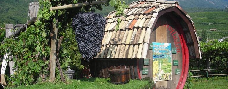Tenuta Spiegelhof