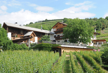 Tenuta Strasserhof - Hannes Baumgartner