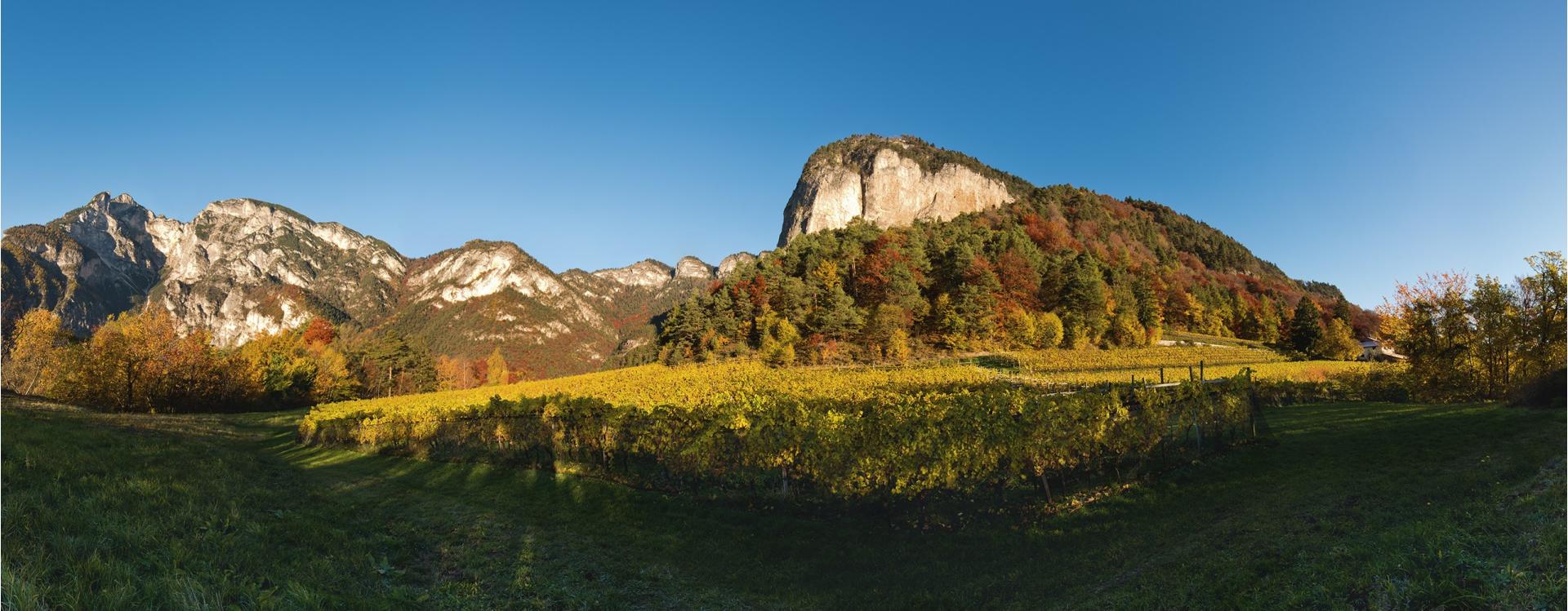 Tenuta Tiefenbrunner |Schlosskellerei Turmhof