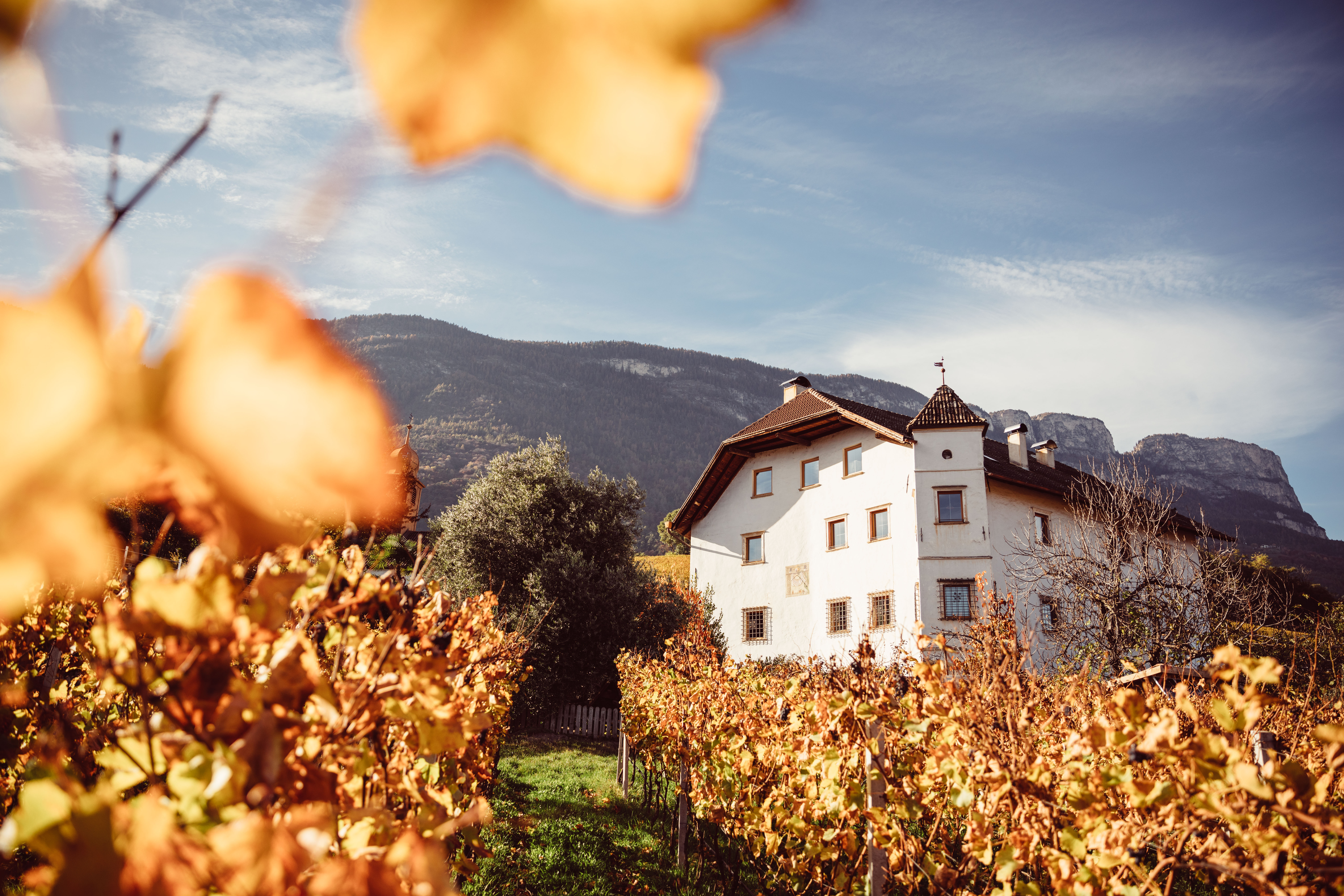 Tenuta Von Payr