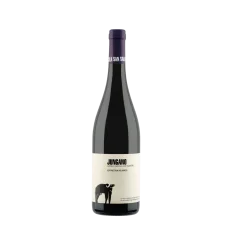 Jungano Igp Paestum Aglianico