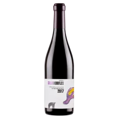 Gillo Dorfles IGP Paestum Aglianico 2017